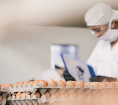 Distribuidora de huevos Avícola Triple A