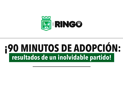 ¡Confirmar y verificar!