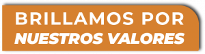 Grupo BIOS brillamos por nuestros valores Trayectoria Empresarial Grupo BIOS
