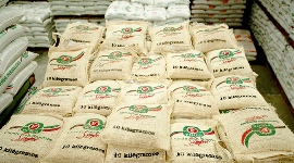 Finca Grupo BIOS 