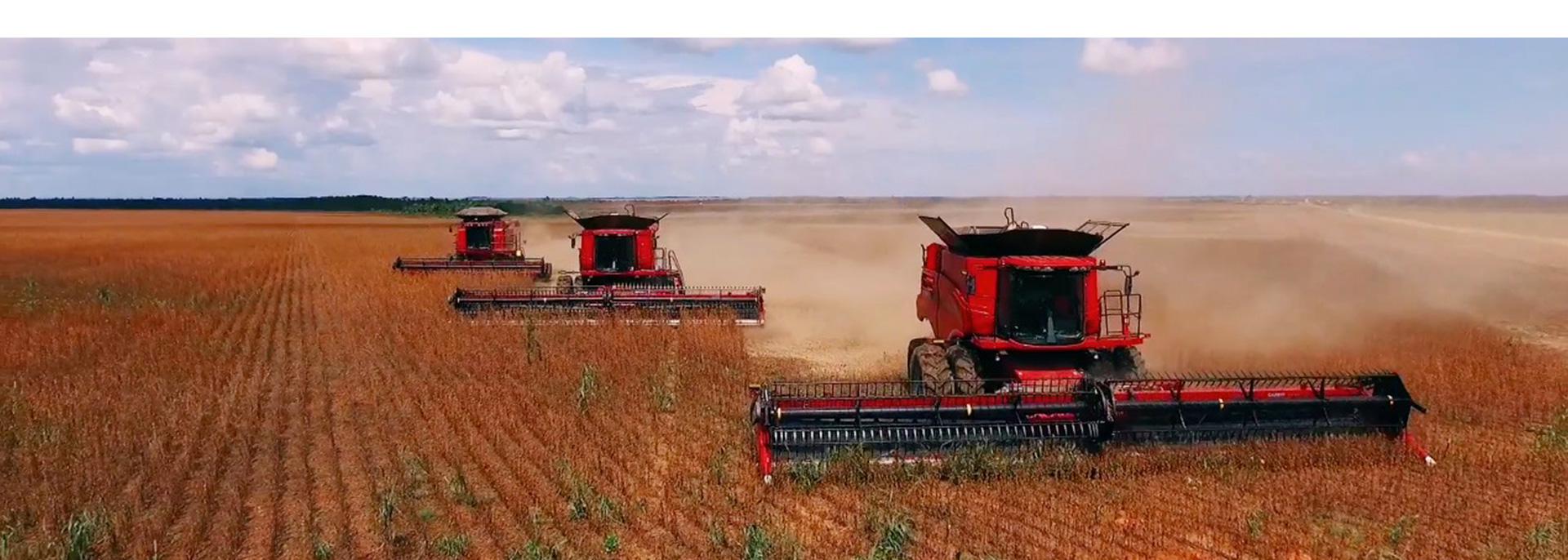 Inversión en el campo